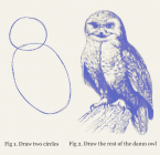 1670457096484.png