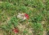 20160805_153550_resized.jpg