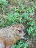 20160805_180703_resized.jpg