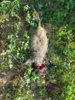 20160805_181038_resized.jpg