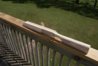 DSC03386.JPG