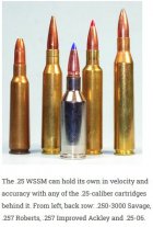25wssm Comp.jpg