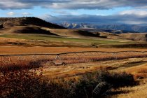 MT_Crazy Mtn Range_a.jpg