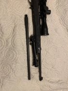 IMG_1190.jpg