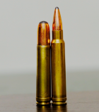 _DSC1074 croppedLR.png