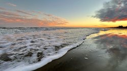 22F05464-B748-412B-B366-7C6D1606DE30.jpeg