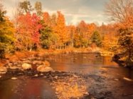 West Branch Union River.jpg