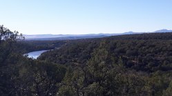 20221024_160649.jpg