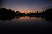IMG_6923-web.jpg