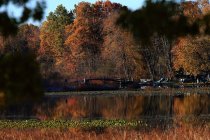 jpg_DX_2681.JPG