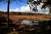 jpg_DX_2740.JPG