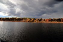 jpg_DX_2731 small.JPG