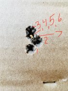 thumbnail_image0 (1).jpg