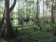 IMG_1170.JPG