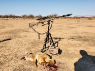 Howa Tripod 2.jpg