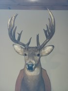 20220412_204354.jpg