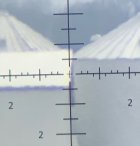 Burris reticle close.jpg