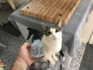 336FE2DB-421D-4038-8E83-10BCED27A39F.jpeg