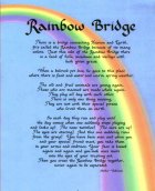 662db4391b70dccd27dac2ebfb90f738--dog-friends-rainbow-bridge.jpg