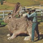 2F640BB1-2200-4B00-B9C0-A4A1A2DDEC62.jpeg 2F640BB1-2200-4B00-B9C0-A4A1A2DDEC62.jpeg