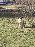 IMG_20221220_134249072.jpg
