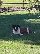 IMG_20221003_155547510.jpg