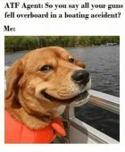 D69129B7-F619-4A54-999F-C7FA6E00D7D8.jpeg