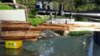 20160818_192732_resized_4.jpg