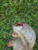 20160822_195352_resized.jpg