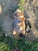 20160822_194419_resized.jpg