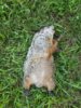 20160822_195346_resized.jpg