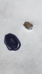 20230118_132206.jpg
