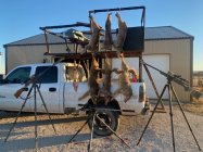 9000 coyote.jpg