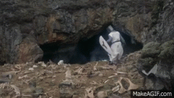 atackrabbit.gif