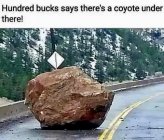 2D7BC74D-4177-4C21-A7C4-2A8C589165B3.jpeg