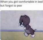 1674785551382.png