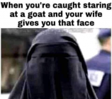 1674822330918.png