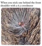 funnycreedmoor.jpg