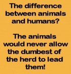 animals leders.jpg