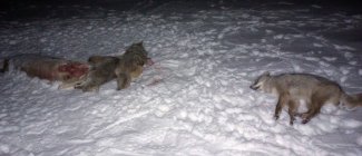 IMG_20230122_000656606~2.jpg