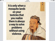 1675269359255.png