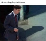 thumbnail_groundhog.jpg