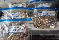 200 cnt bags LC 223 brass.jpg