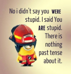 1675705290683.png