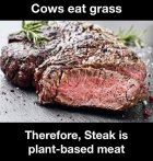 6F329BAB-6CED-4465-B04B-395DFEEC8F76.jpeg