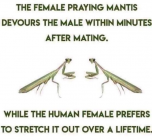 1675795573520.png