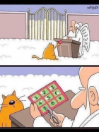 1675910204418.png
