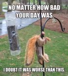 Free the damn squirrel.jpg