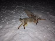 IMG_20230210_203224290.jpg