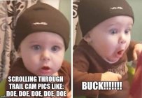 Baby Trail Cam Pics.jpeg